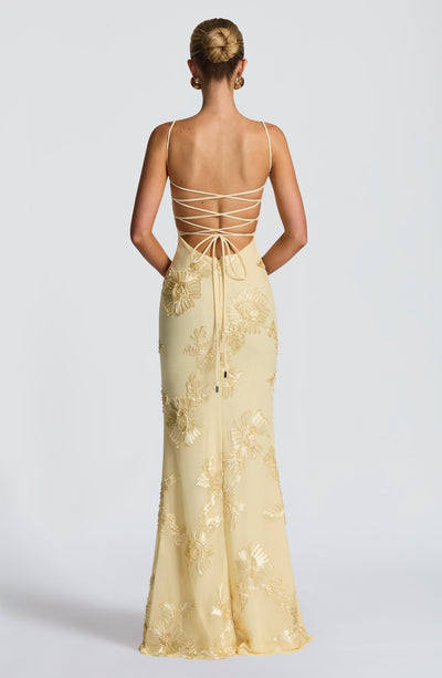 Velour | Maxi Dress